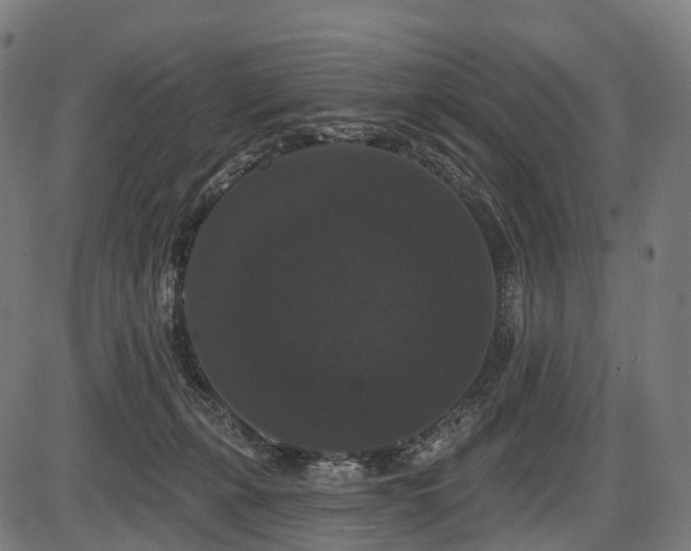 X0000087530271200704271214