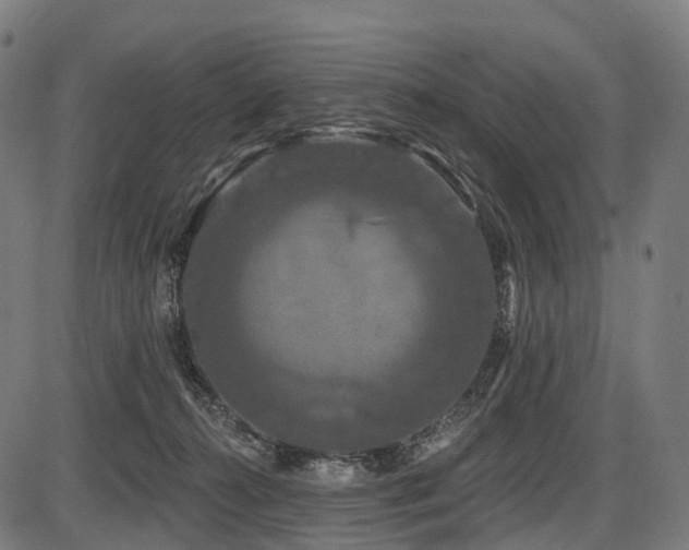X0000087530272200704271214