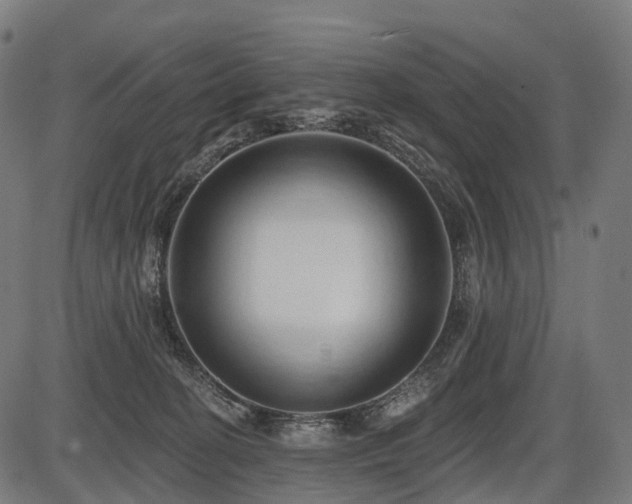 X0000087530274200704271214
