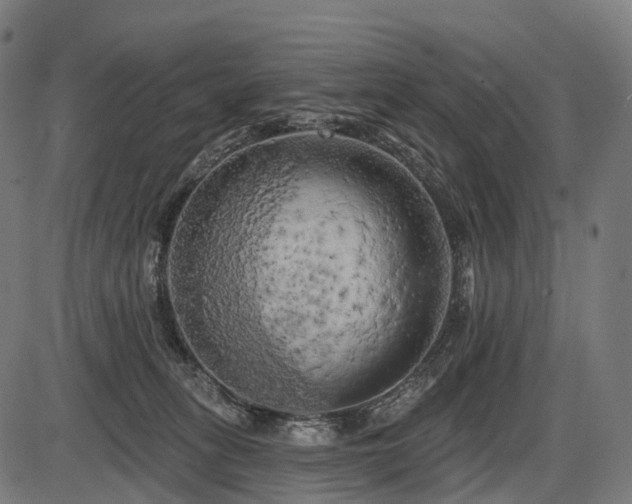 X0000087530275200704271214