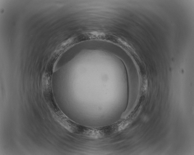 X0000087530276200704271214