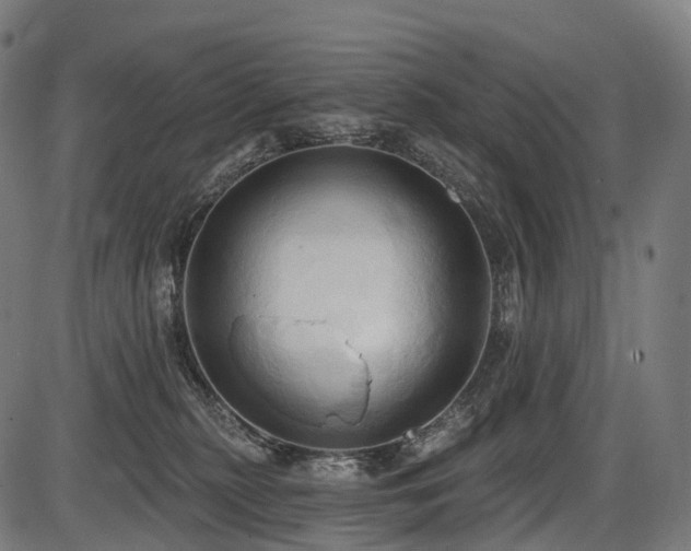 X0000087530279200704271214