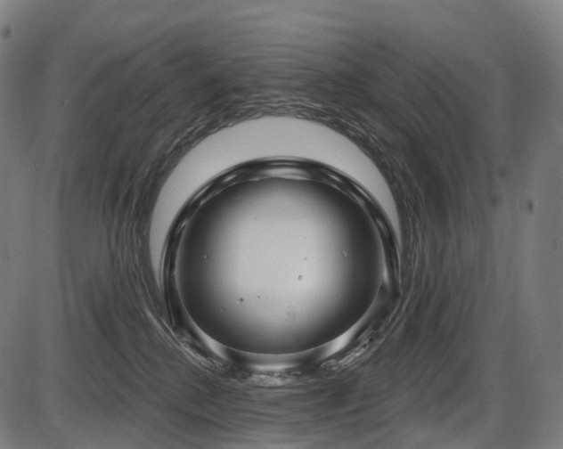 X0000087530280200704271214