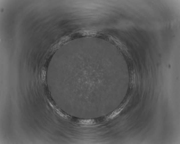 X0000087530281200704271214