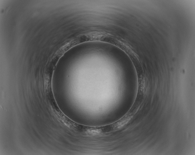 X0000087530283200704271214