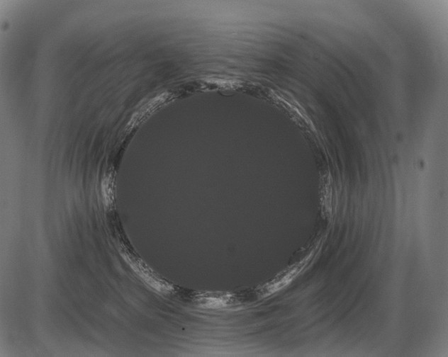 X0000087530285200704271214