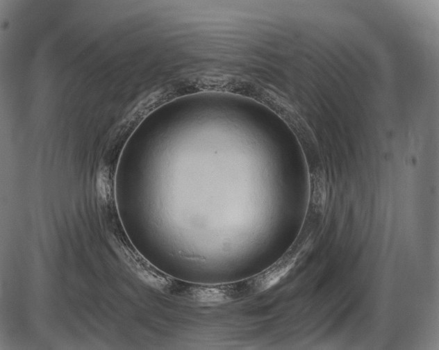 X0000087530287200704271215