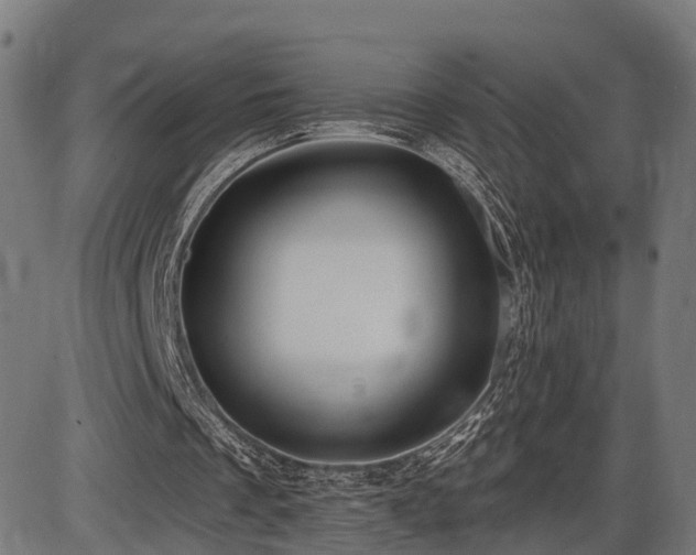 X0000087530289200704271214