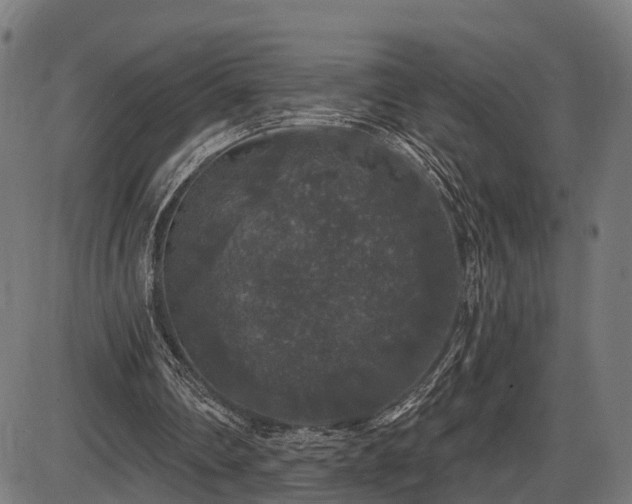 X0000087530290200704271214