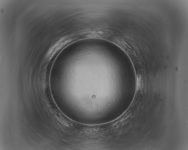X0000087530291200704271214