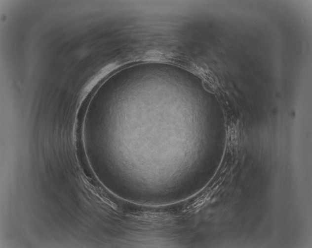 X0000087530292200704271214