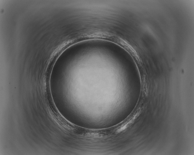 X0000087530298200704271214