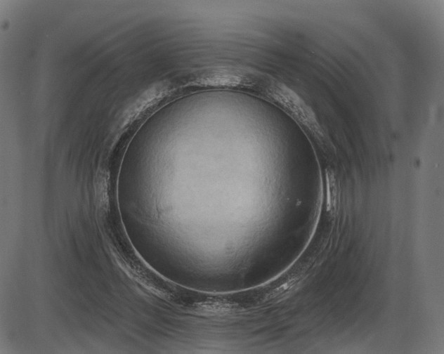 X0000087530300200704271214