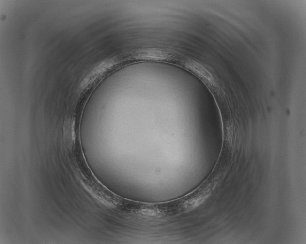 X0000087530302200704271214