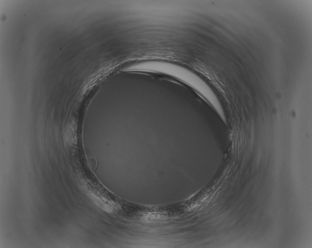X0000087530303200704271214