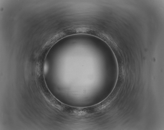 X0000087530311200704271213