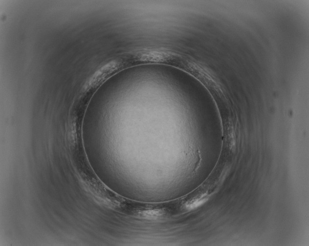 X0000087530312200704271213