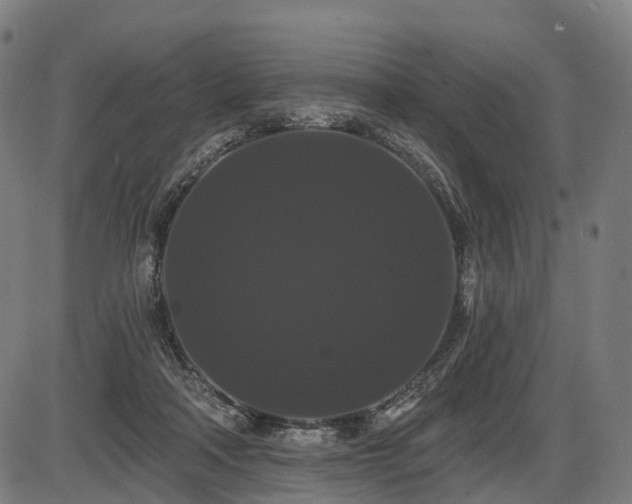 X0000087530314200704271213
