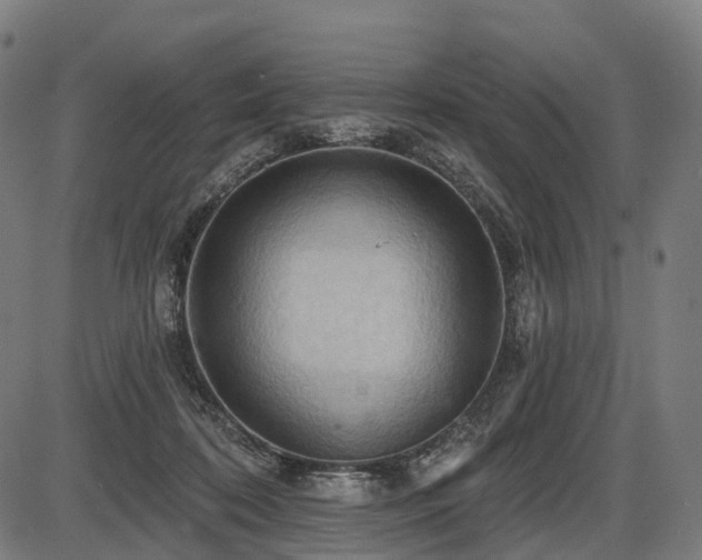X0000087530316200704271213