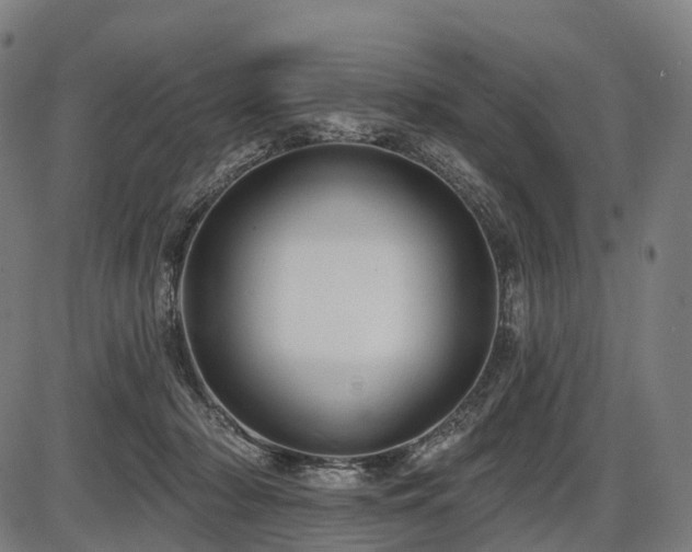 X0000087530318200704271213