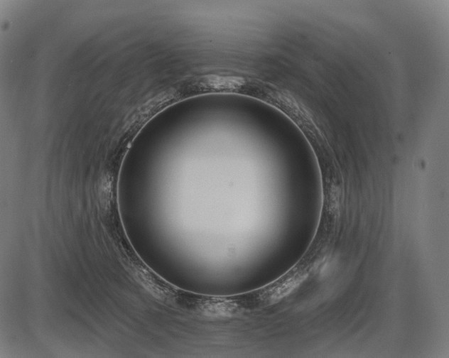 X0000087530321200704271213
