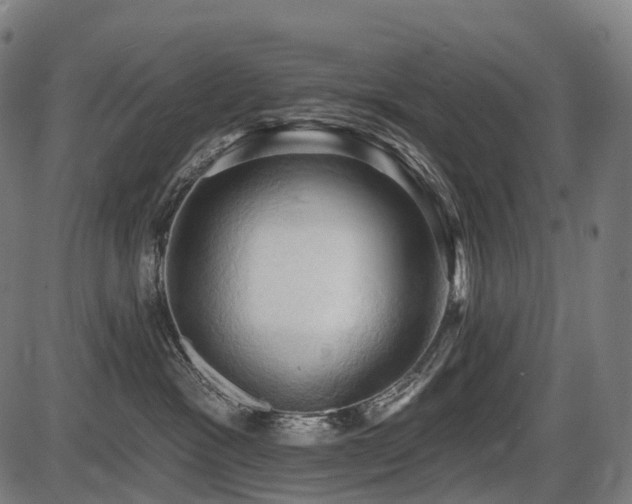 X0000087530333200704271213