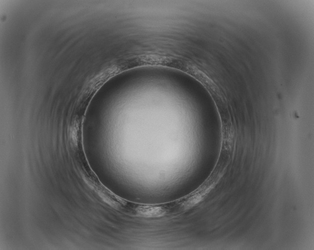 X0000087530334200704271213