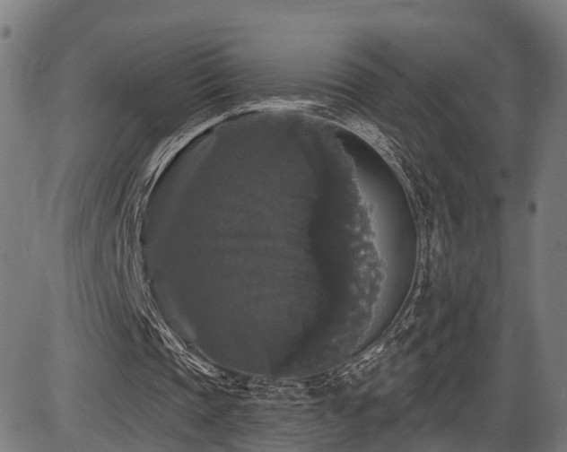 X0000087530337200704271212