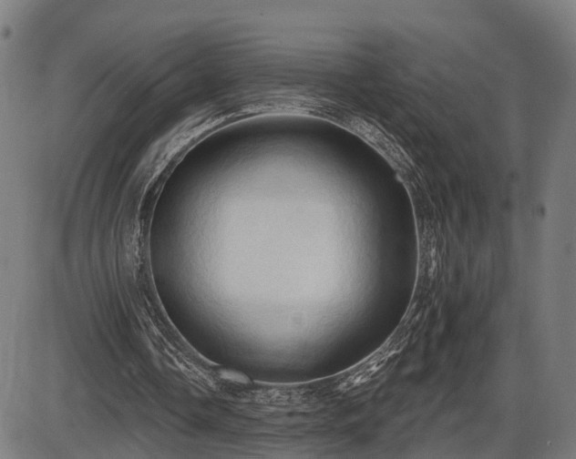X0000087530338200704271212