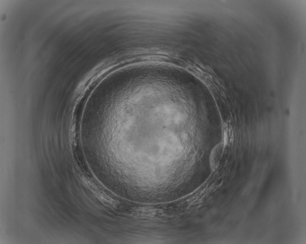 X0000087530339200704271212