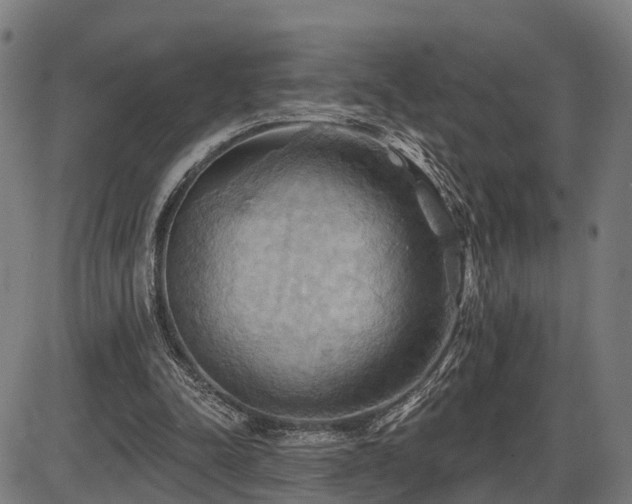 X0000087530342200704271212