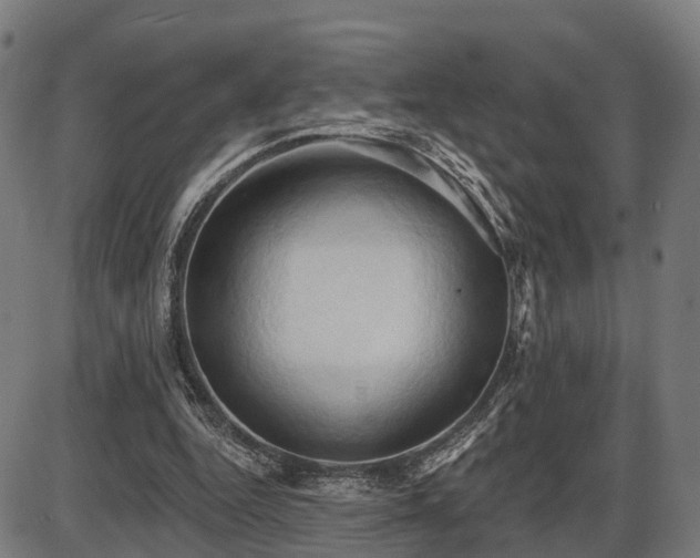 X0000087530344200704271212