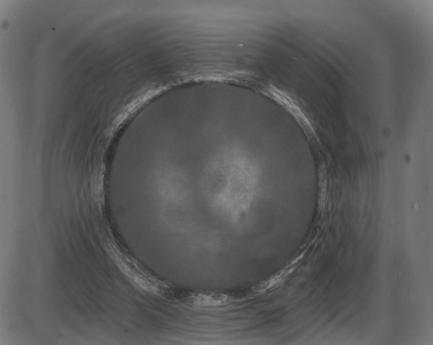 X0000087530346200704271212