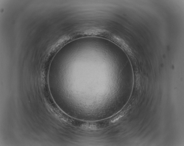 X0000087530354200704271212