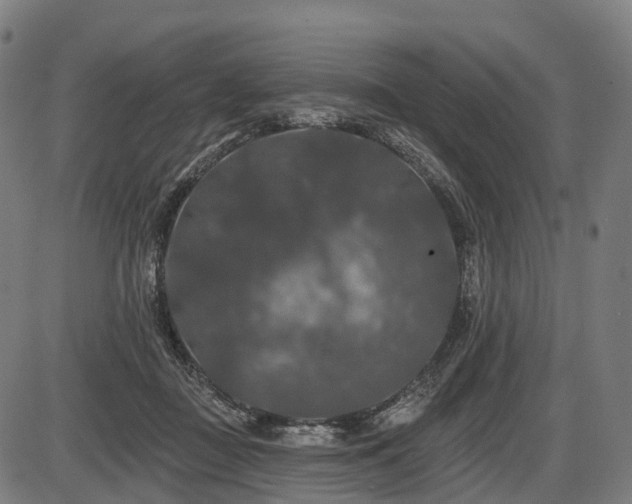 X0000087530363200704271213