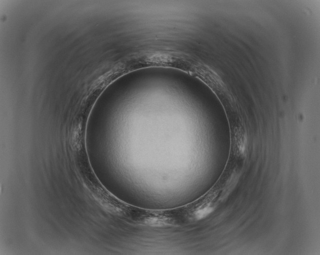 X0000087530364200704271213