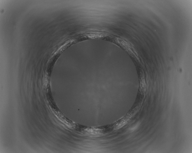 X0000087530367200704271213