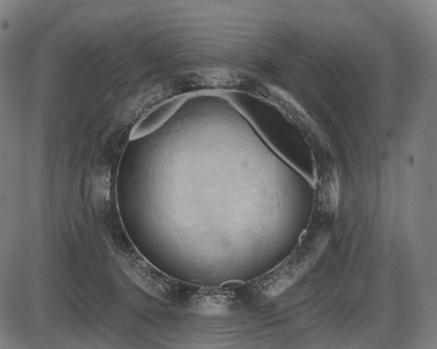 X0000087530368200704271213