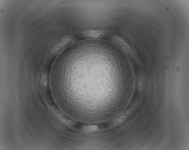 X0000087530374200704271213