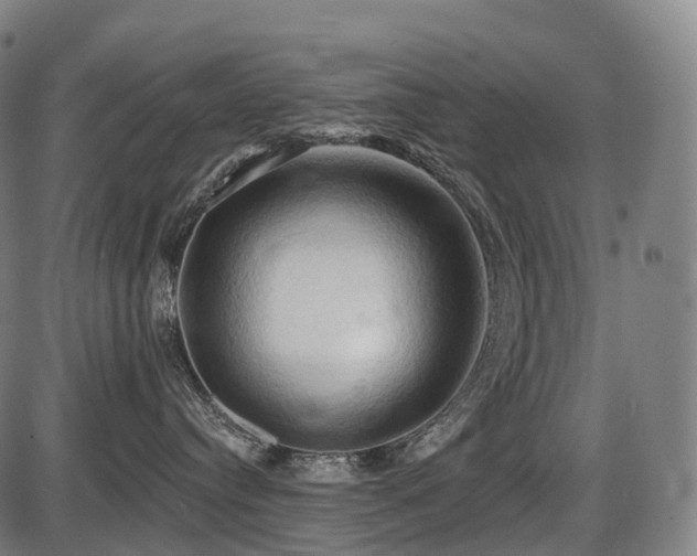 X0000087530384200704271213