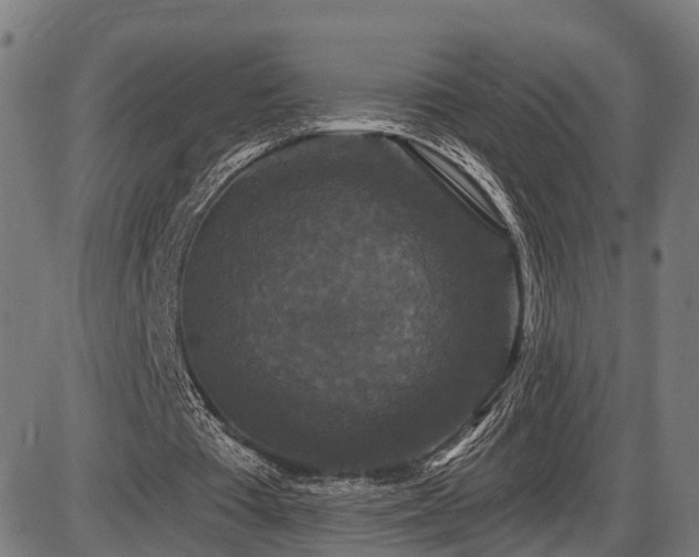 X0000087530385200704271212