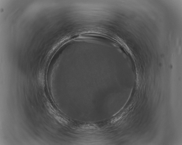 X0000087530386200704271212
