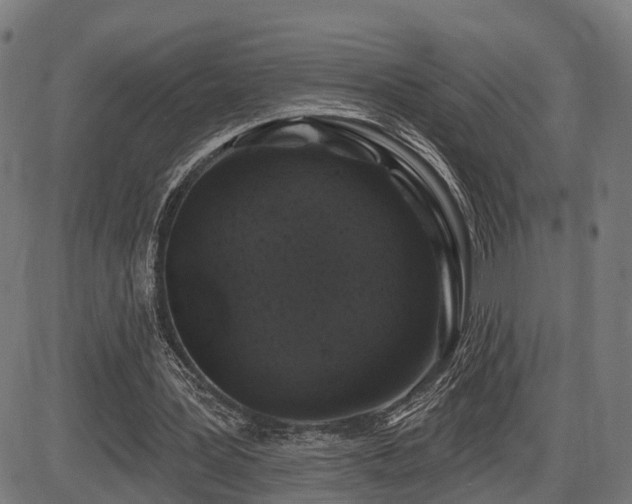 X0000087530387200704271212