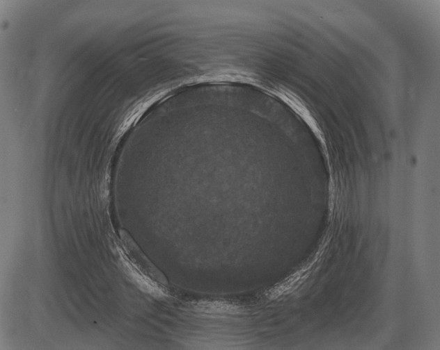 X0000087530389200704271212