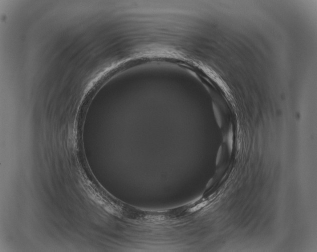 X0000087530391200704271212
