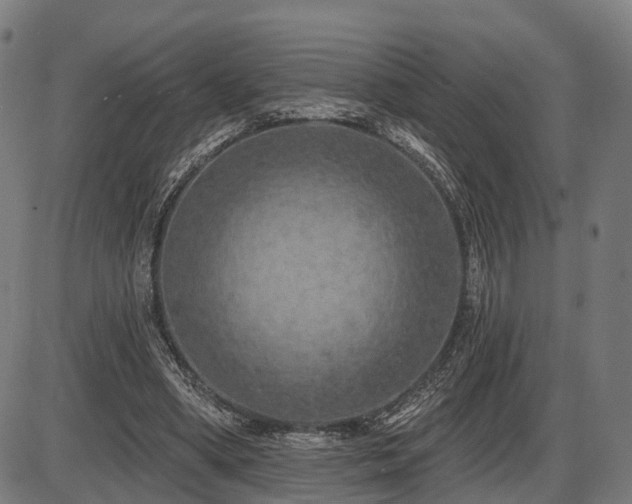 X0000087530394200704271212