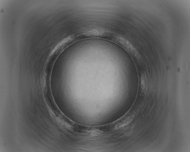 X0000087530396200704271212