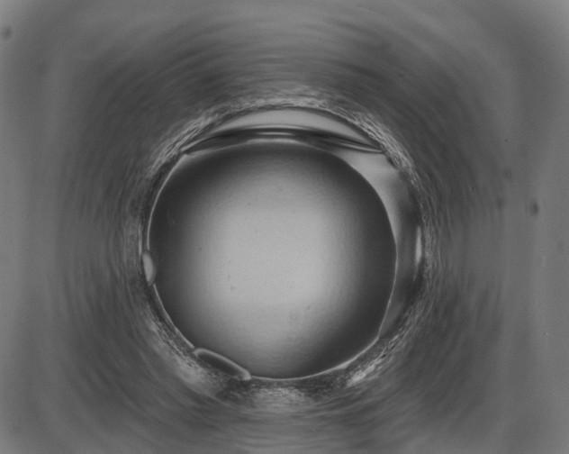 X0000087530397200704271212