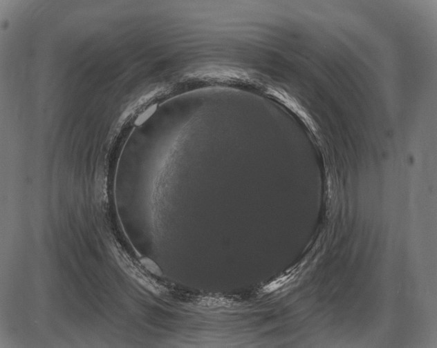 X0000087530399200704271212