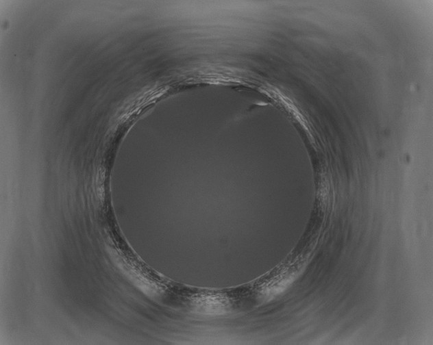 X0000087530402200704271212